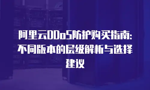 阿里云DDoS防护购买指南：不同版本的层级解析与选择建议