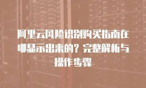 阿里云风险识别购买指南在哪显示出来的？完整解析与操作步骤
