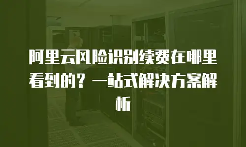 阿里云风险识别续费在哪里看到的？一站式解决方案解析