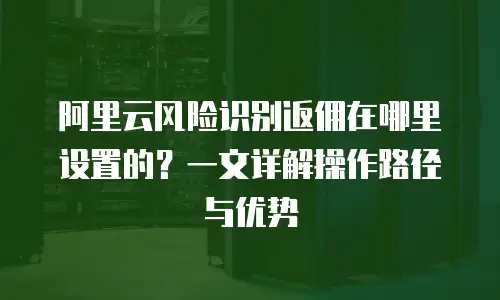 阿里云风险识别返佣在哪里设置的？一文详解操作路径与优势