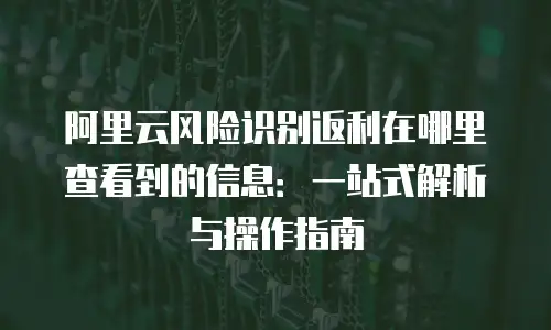 阿里云风险识别返利在哪里查看到的信息：一站式解析与操作指南