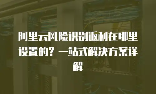 阿里云风险识别返利在哪里设置的？一站式解决方案详解