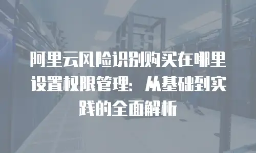 阿里云风险识别购买在哪里设置权限管理：从基础到实践的全面解析