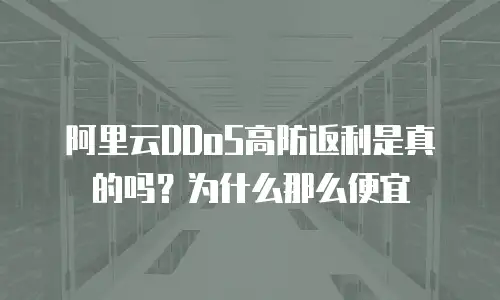 阿里云DDoS高防返利是真的吗？为什么那么便宜