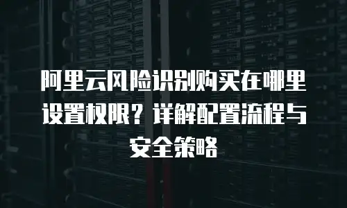 阿里云风险识别购买在哪里设置权限？详解配置流程与安全策略