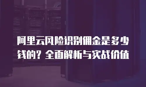阿里云风险识别佣金是多少钱的？全面解析与实战价值