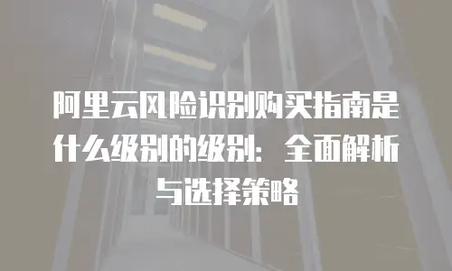 阿里云风险识别购买指南是什么级别的级别：全面解析与选择策略