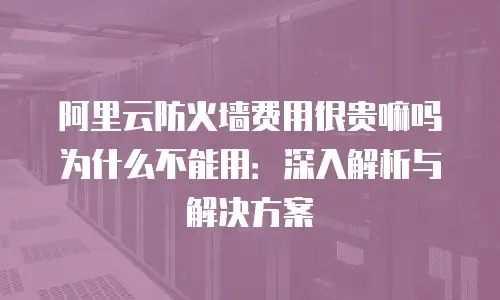 阿里云防火墙费用很贵嘛吗为什么不能用：深入解析与解决方案