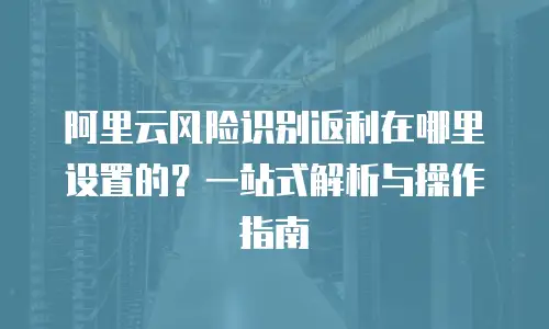 阿里云风险识别返利在哪里设置的？一站式解析与操作指南