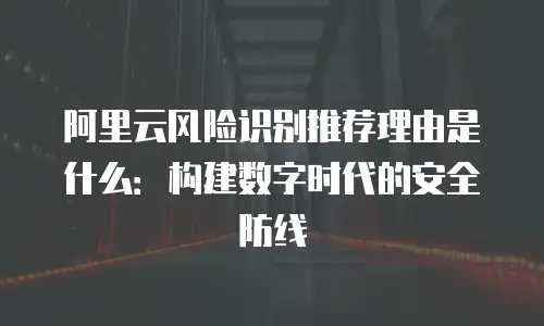 阿里云风险识别推荐理由是什么：构建数字时代的安全防线