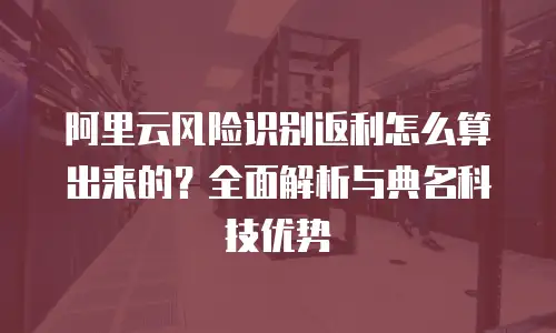 阿里云风险识别返利怎么算出来的？全面解析与典名科技优势