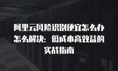 阿里云风险识别便宜怎么办怎么解决：低成本高效益的实战指南