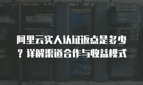 阿里云实人认证返点是多少？详解渠道合作与收益模式