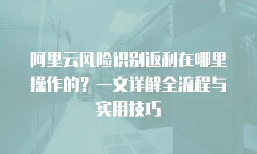 阿里云风险识别返利在哪里操作的？一文详解全流程与实用技巧