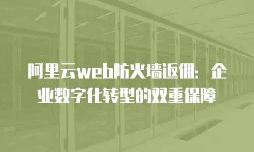 阿里云web防火墙返佣：企业数字化转型的双重保障