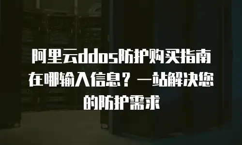 阿里云ddos防护购买指南在哪输入信息？一站解决您的防护需求