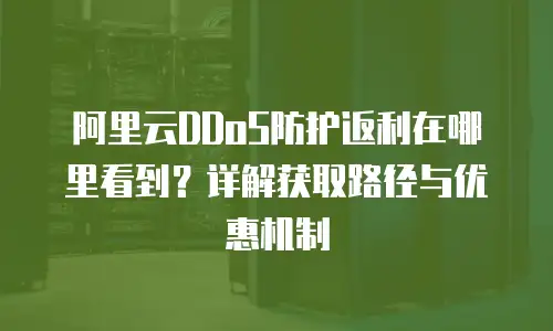 阿里云DDoS防护返利在哪里看到？详解获取路径与优惠机制
