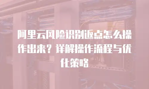 阿里云风险识别返点怎么操作出来？详解操作流程与优化策略