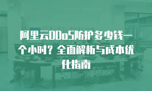 阿里云DDoS防护多少钱一个小时？全面解析与成本优化指南