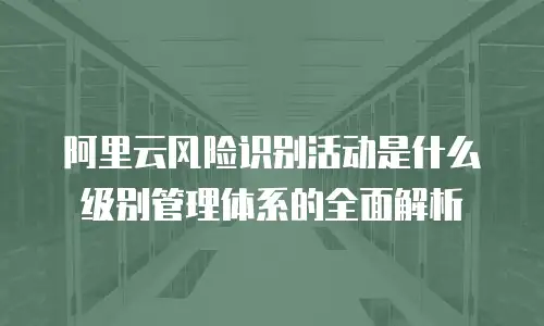 阿里云风险识别活动是什么级别管理体系的全面解析