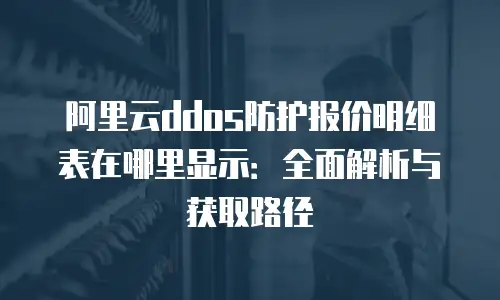 阿里云ddos防护报价明细表在哪里显示：全面解析与获取路径