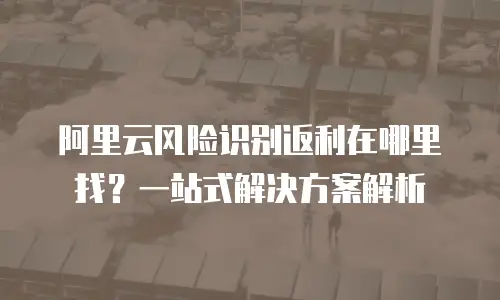 阿里云风险识别返利在哪里找？一站式解决方案解析