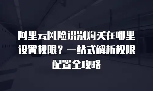 阿里云风险识别购买在哪里设置权限？一站式解析权限配置全攻略