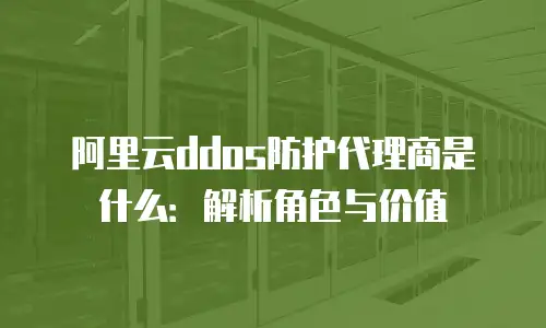 阿里云ddos防护代理商是什么：解析角色与价值