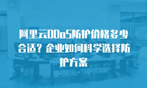 阿里云DDoS防护价格多少合适？企业如何科学选择防护方案