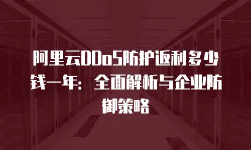 阿里云DDoS防护返利多少钱一年：全面解析与企业防御策略