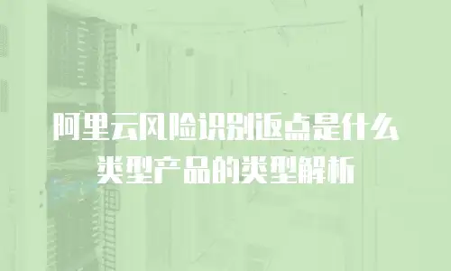 阿里云风险识别返点是什么类型产品的类型解析
