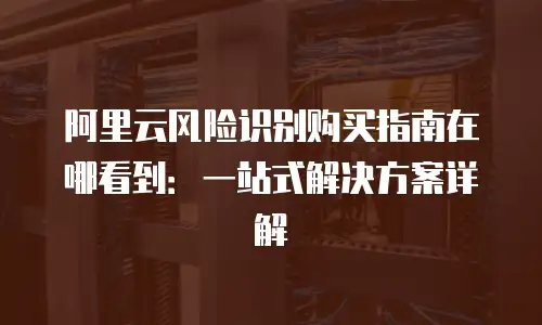阿里云风险识别购买指南在哪看到：一站式解决方案详解