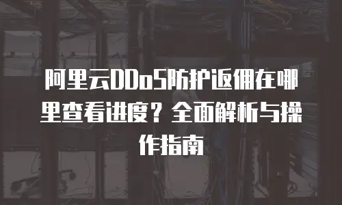 阿里云DDoS防护返佣在哪里查看进度？全面解析与操作指南
