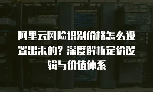 阿里云风险识别价格怎么设置出来的？深度解析定价逻辑与价值体系