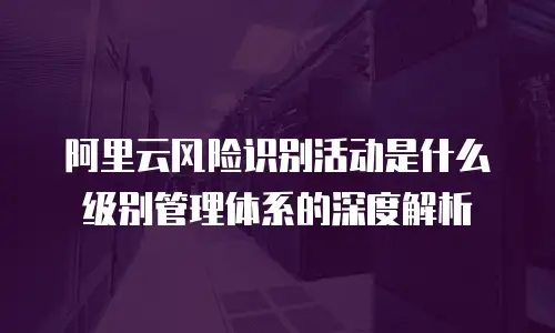 阿里云风险识别活动是什么级别管理体系的深度解析