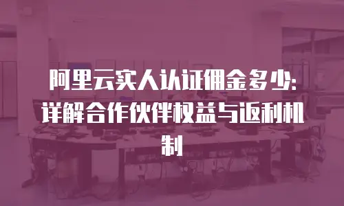 阿里云实人认证佣金多少：详解合作伙伴权益与返利机制