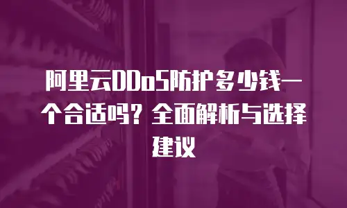 阿里云DDoS防护多少钱一个合适吗？全面解析与选择建议
