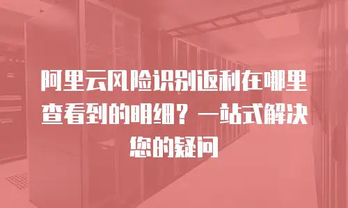 阿里云风险识别返利在哪里查看到的明细？一站式解决您的疑问