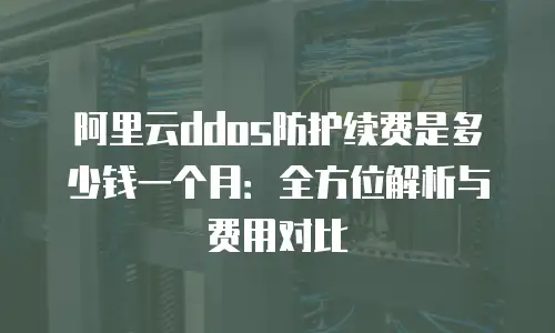 阿里云ddos防护续费是多少钱一个月：全方位解析与费用对比