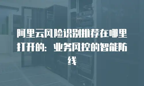 阿里云风险识别推荐在哪里打开的：业务风控的智能防线