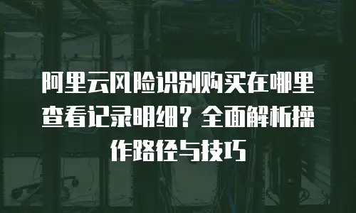 阿里云风险识别购买在哪里查看记录明细？全面解析操作路径与技巧