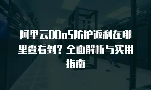 阿里云DDoS防护返利在哪里查看到？全面解析与实用指南