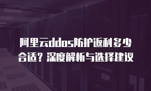 阿里云ddos防护返利多少合适？深度解析与选择建议
