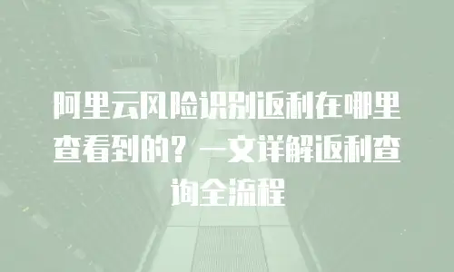阿里云风险识别返利在哪里查看到的？一文详解返利查询全流程