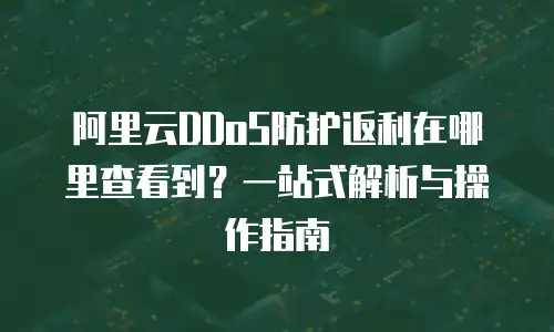 阿里云DDoS防护返利在哪里查看到？一站式解析与操作指南