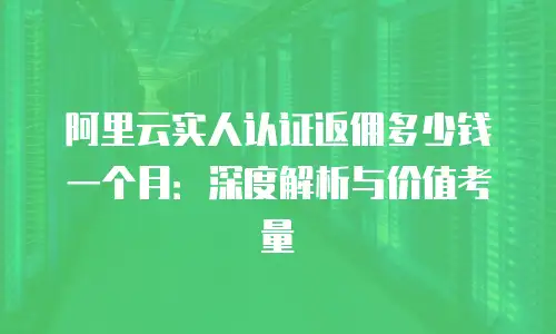 阿里云实人认证返佣多少钱一个月：深度解析与价值考量