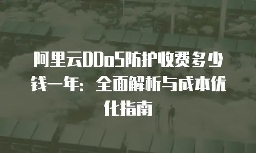 阿里云DDoS防护收费多少钱一年：全面解析与成本优化指南