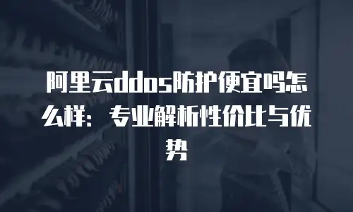 阿里云ddos防护便宜吗怎么样：专业解析性价比与优势