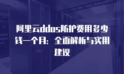 阿里云ddos防护费用多少钱一个月：全面解析与实用建议