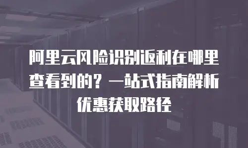 阿里云风险识别返利在哪里查看到的？一站式指南解析优惠获取路径